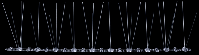 Данное приспособление сделает посадку пернатых вредителей на охраняемый объект абсолютно невозможной